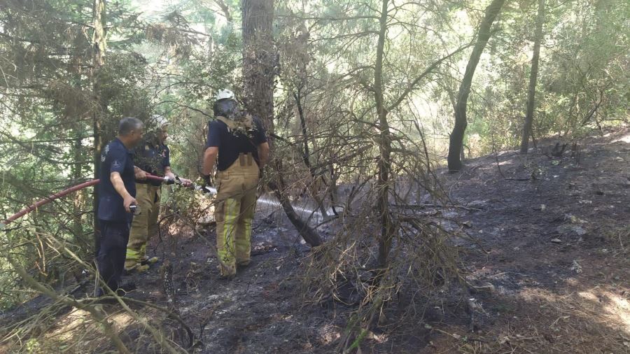 Denetim Aydos Ormanı’nda Yangını Önledi 