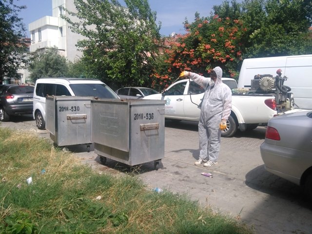Süleymanpaşa`da karasineğe karşı çöp konteynerleri ilaçlanıyor
