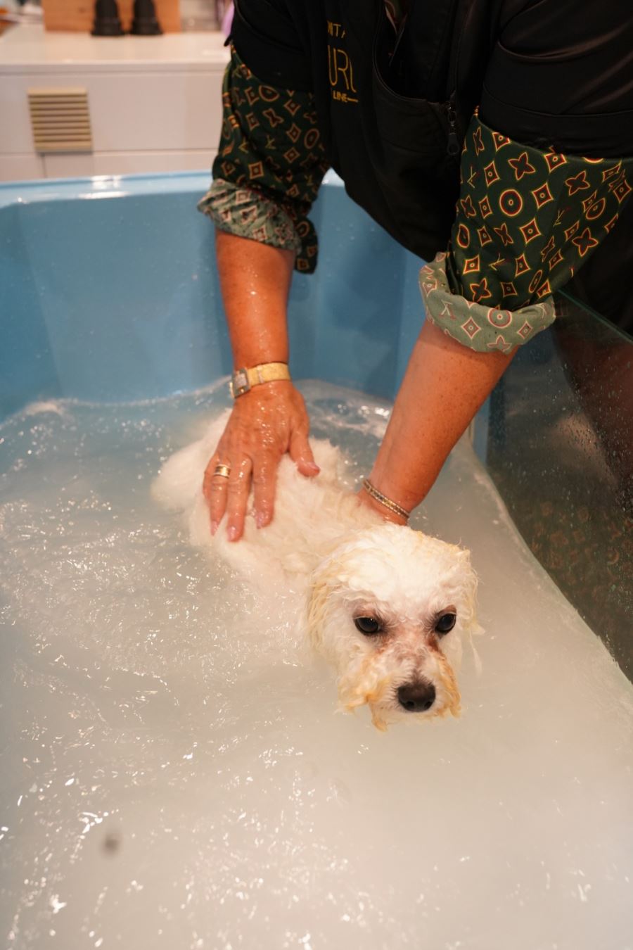 TÜRKİYE’DE BİR İLK: BAKTERİ, MANTAR VE VİRÜSLERİ YOK EDEN MAMA