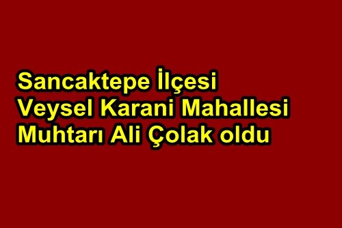 Veysel Karani Mahallesi Muhtarı Ali Çolak