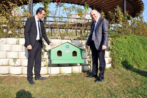 Sokak hayvanları su kapları ve kedi evleriyle artık daha mutlu