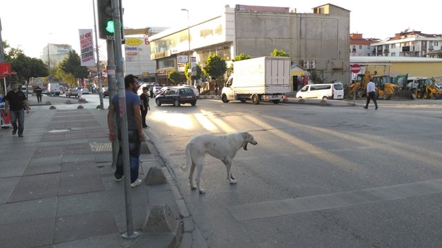 Sancaktepe`de trafik ışıklarında bekledi sonra bakın ne yaptı